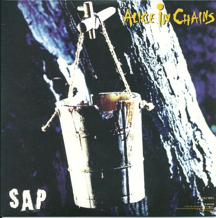 aLICE IN cHAINS - sap