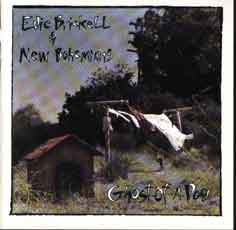 Edie Brickell and the new boehmians