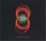 Pearl Jam Binaural