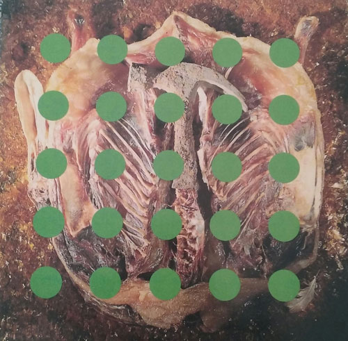 Pixies Live 1989 exclusivit� Fnac Les inrockuptibles cover